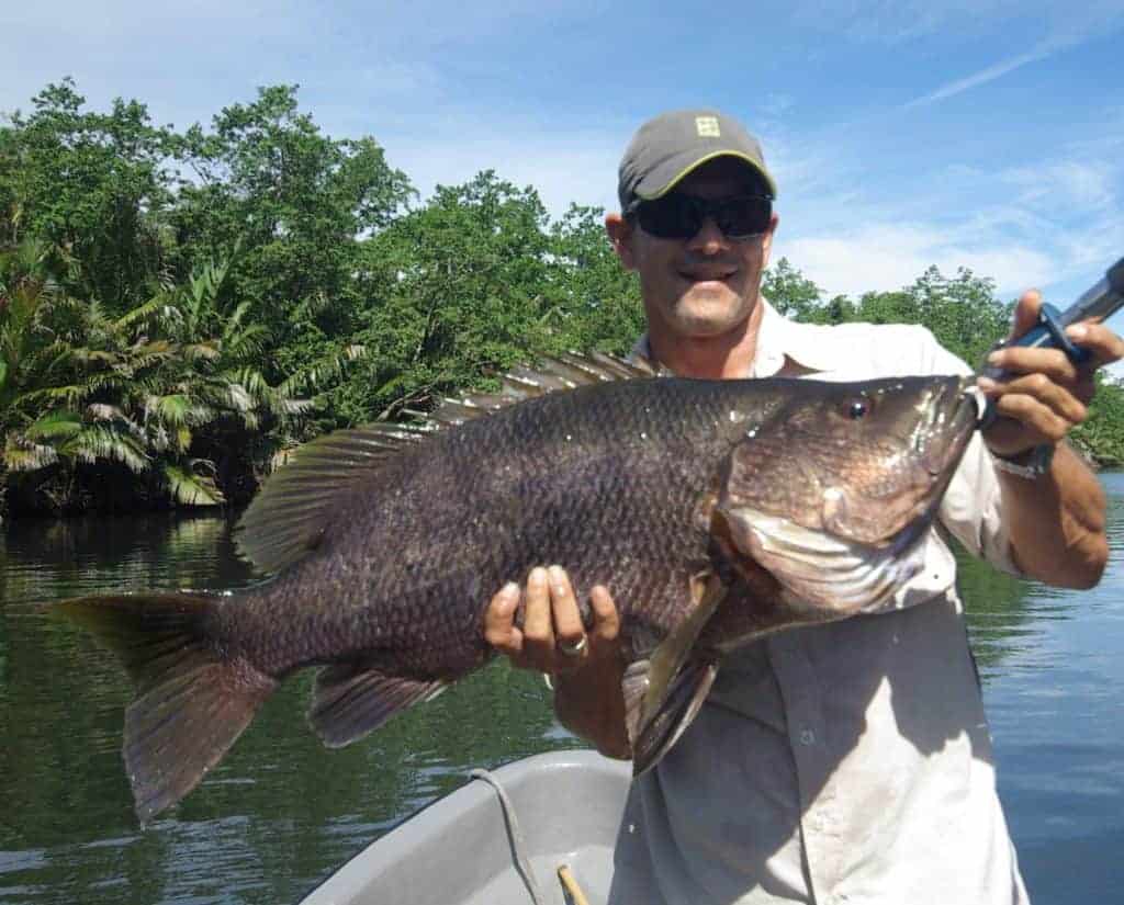 PNG Black Bass – Outside Edge Adventures